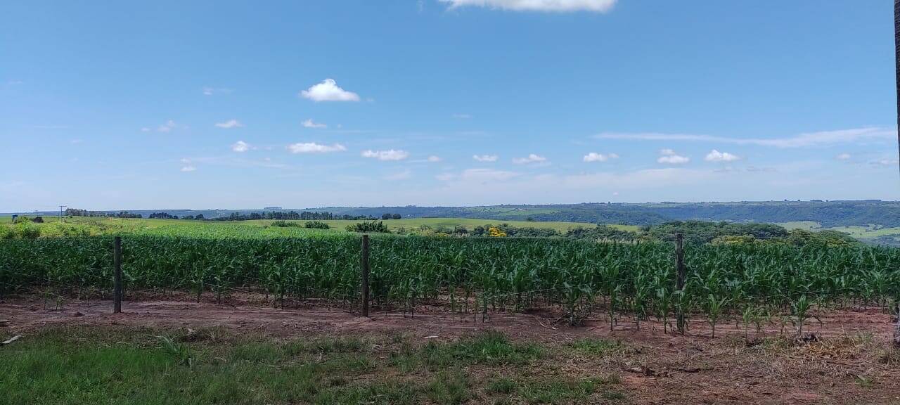 Terreno, 167 m² - Foto 6