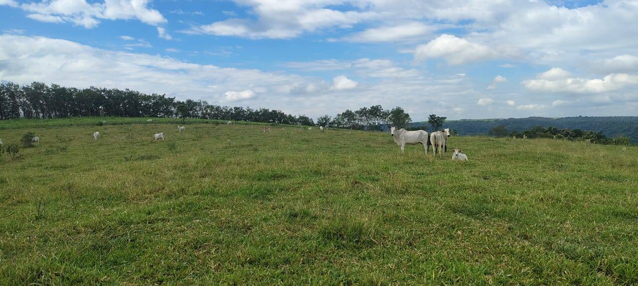 Terreno, 72 m² - Foto 2