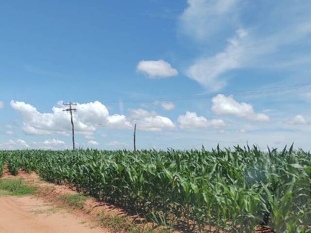 #1 - Fazenda para Venda em Vera Cruz - SP - 2