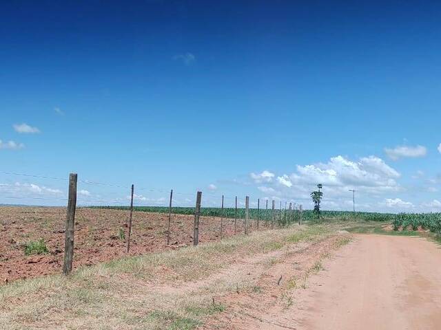 #1 - Fazenda para Venda em Vera Cruz - SP - 3