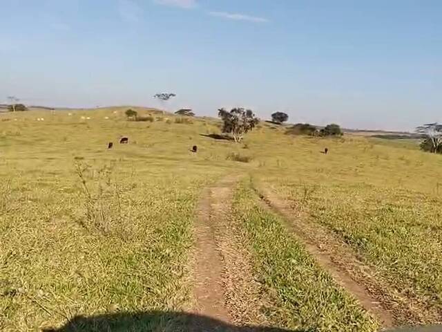#3 - Fazenda para Venda em Presidente Alves - SP