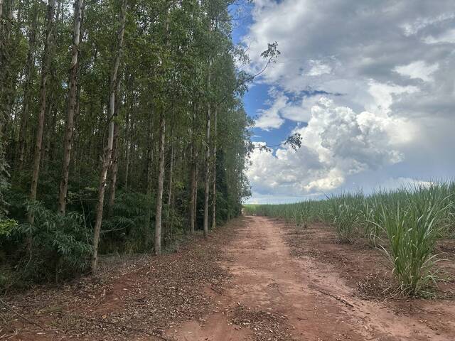 #4 - Fazenda para Venda em Águas de Santa Bárbara - SP