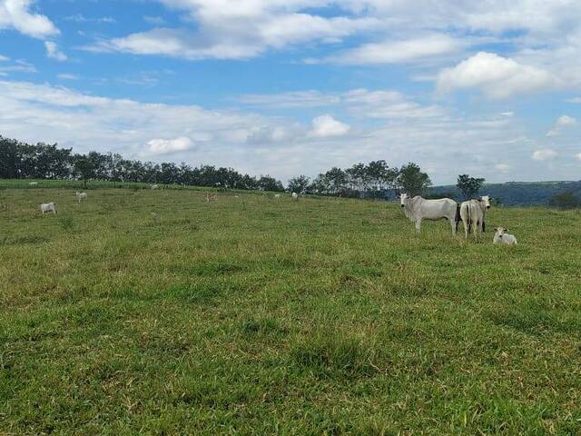 #5 - Fazenda para Venda em Garça - SP