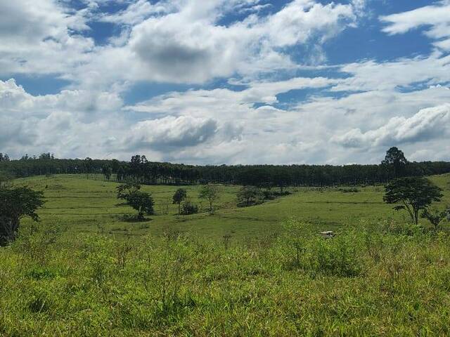 #5 - Fazenda para Venda em Garça - SP